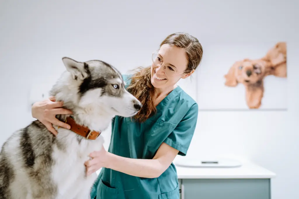 Unternehmerportrait mit klarer Ausstrahlung