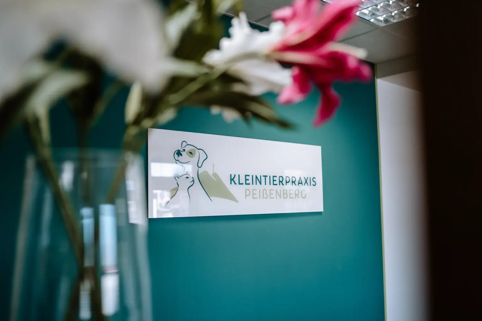 Tierarztpraxis in Peißenberg mit professioneller und einladender Atmosphäre
